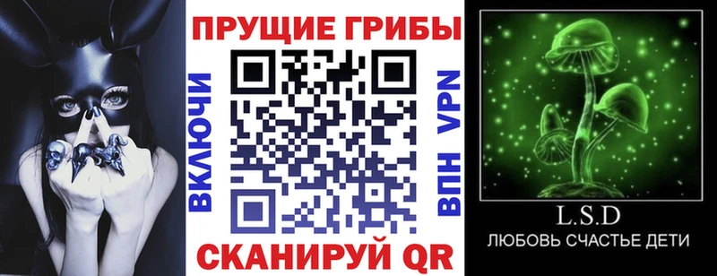 Купить где  Спас-Деменск  Псилоцибиновые грибы прущие грибы 